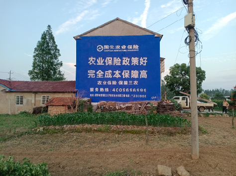 汉中墙体广告为何受追捧？